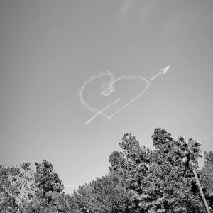 Meet your Posher, Britney